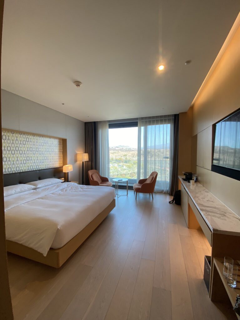 The room in daylight. Two armchairs by the window and the bright bed