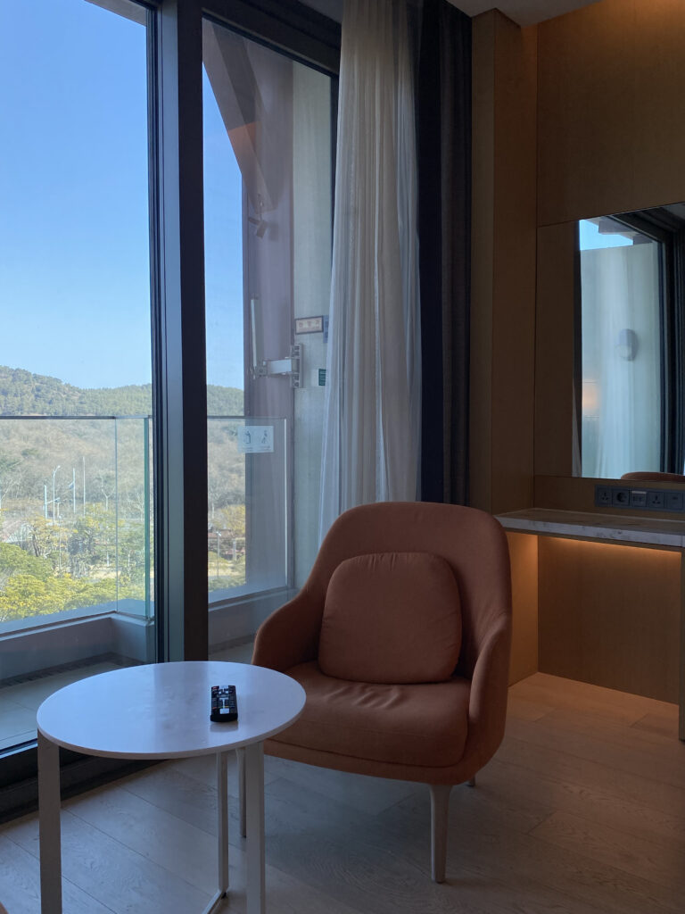 The two armchairs by the window. Prime zoning-out seats