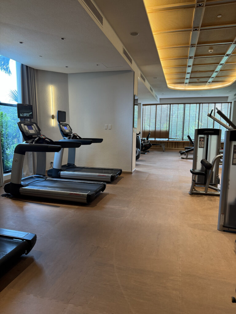 The treadmill zone. Windows to look out of, so running feels less dull